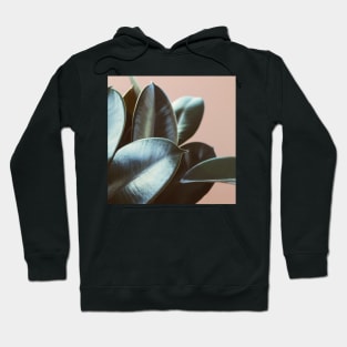 Ficus Elastica #2 Hoodie